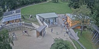 St corona am Wechsel Webcam - Sommerrodelbahn Coaster