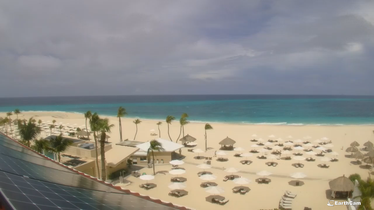 Tara Beach Live Cam – Aruba | Manchebo Beach Resort
