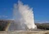 Old Faithful Yellowstone National Park Live Cam