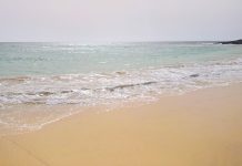 Live Cam Ponta Preta Beach Sal, Verde