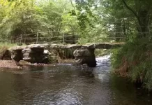 New River Camel Live Stream Cam Rock, Uk