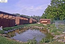 Animal Rescue Station Makov - Jezírko