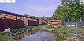 Animal Rescue Station Makov - Jezírko