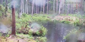 Nuuksio National Park Live Cam - Espoo, Finland | Hd Video
