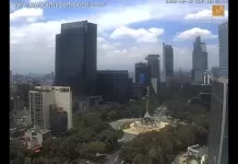 Paseo De La Reforma | Ángel De La Independencia