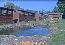 Makov Animal Feed - Live Webcam - Čížová, Czech Republic