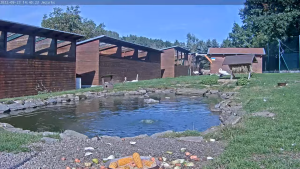 Makov Animal Feed - Live Webcam - Čížová, Czech Republic