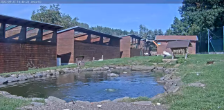 Makov Animal Feed - Live Webcam - Čížová, Czech Republic