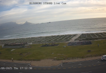 Table Mountain Live Webcam, South Africa - Video