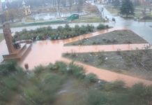 Lushpa Monument Sumy, Ukraine New Live Street Camera