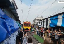 Maeklong Railway Market Live Cam New Train