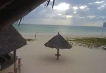 Paje Beach, Zanzibar Live Cam, Tanzania