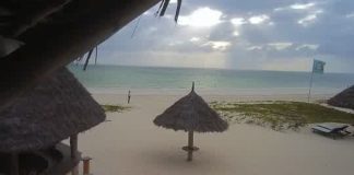 Paje Beach, Zanzibar Live Cam, Tanzania