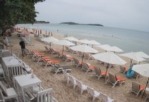 The Palms Bar And Grill Live Cam New Thailand