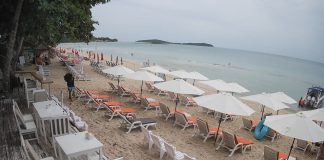 The Palms Bar And Grill Live Cam New Thailand