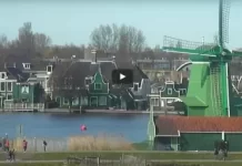 Zaanse Schans Netherlands New Live Stream Cam