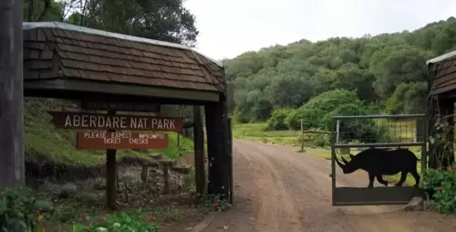 Aberdare National Park New Live Stream Cam In Kenya