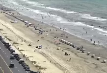 Babe's Beach Live Stream Cam Galveston, Texas New