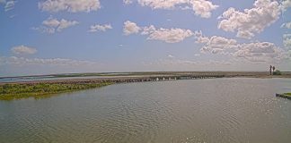 Live Webcam Bayou Vista - Galveston County, Texas