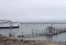 Vineyard Haven Harbor Live Cam Stream Martha's Vineyard