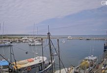 Martha's Vineyard Menemsha Harbor Live Cam
