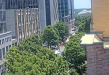 Raleigh Downtown City Plaza, Fayetteville St