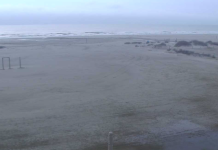 Stewart Beach Galveston, Texas Live Webcam