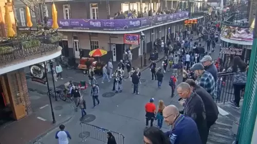 Mardi Gras Bourbon Street Live Cam New Orleans