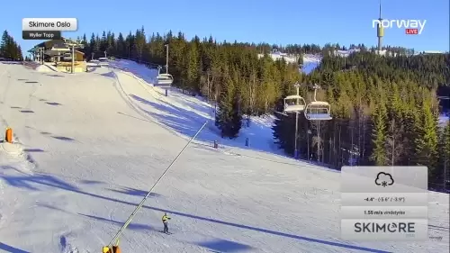 Oslo Vinterpark Webcam – Norway – Live HD Video