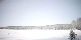 Willow Alaska Live Stream Webcam