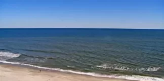 Live Cam Myrtle Beach New In South Carolina, United States