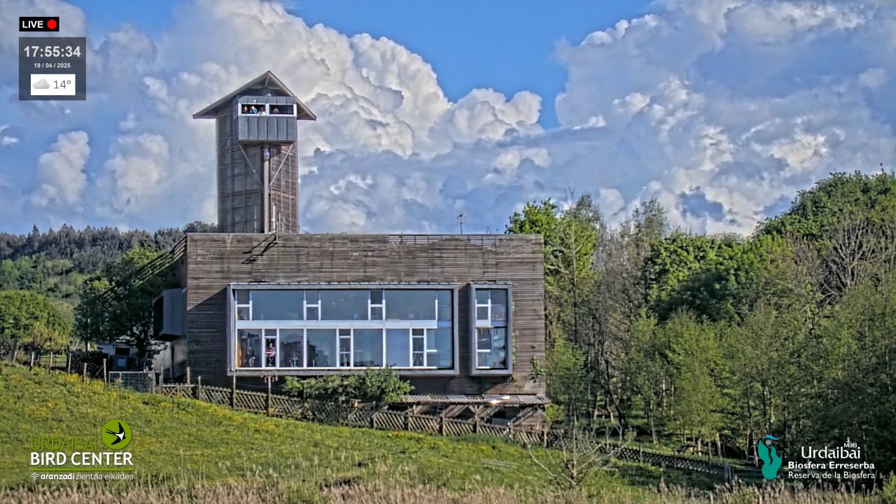 Urdaibai Bird Center HD Live Webcam – Bizkaia, Spain