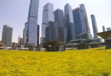 Javits Center Live Webcam In New York, Usa