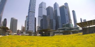 Javits Center Live Webcam In New York, Usa