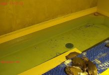Penguins Live Cam New At Silesian Zoo In Poland