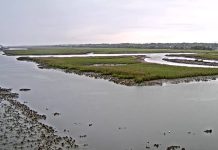 Ocean Isle Beach Webcam - Nc