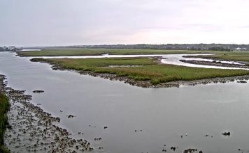 Ocean Isle Beach Webcam - Nc