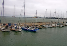 Galveston Marina & Yacht Basin Live Cam Stream New