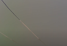 Live Fishing Webcam In North Texas New