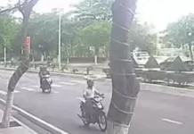 Nha Trang, Vietnam Live Webcam Trần Phú Street New