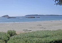 Mackenzie Beach Resort Live Webcam - Ocean Village