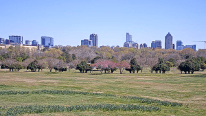 Dorothea Dix Park