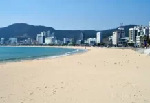 Live Webcam Songjeong Beach, Busan, South Korea Video