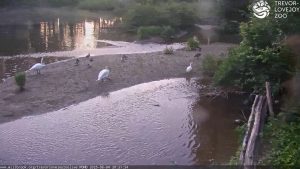 Millbrook School Live Webcam Trevor Zoo, New York
