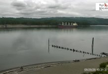 Kalama, Washington Live Webcam - Hd Video