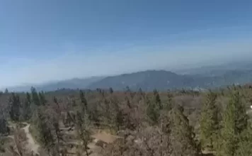 Live Webcam Meadow Lakes, California