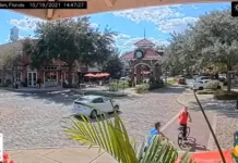 Live Downtown Winter Garden, Florida Webcam New
