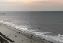 Ocean Boulevard Live Webcam New In South Carolina