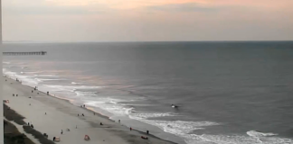 Ocean Boulevard Live Webcam New In South Carolina