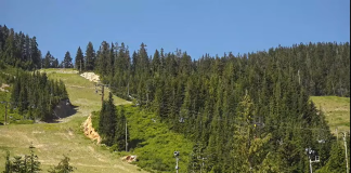Cypress Mountain Webcam West Vancouver, Bc